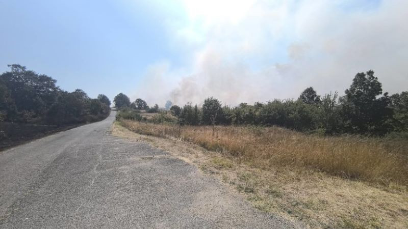 Задържаха мъж, предизвикал пожара край пазарджишкото село Овчеполци